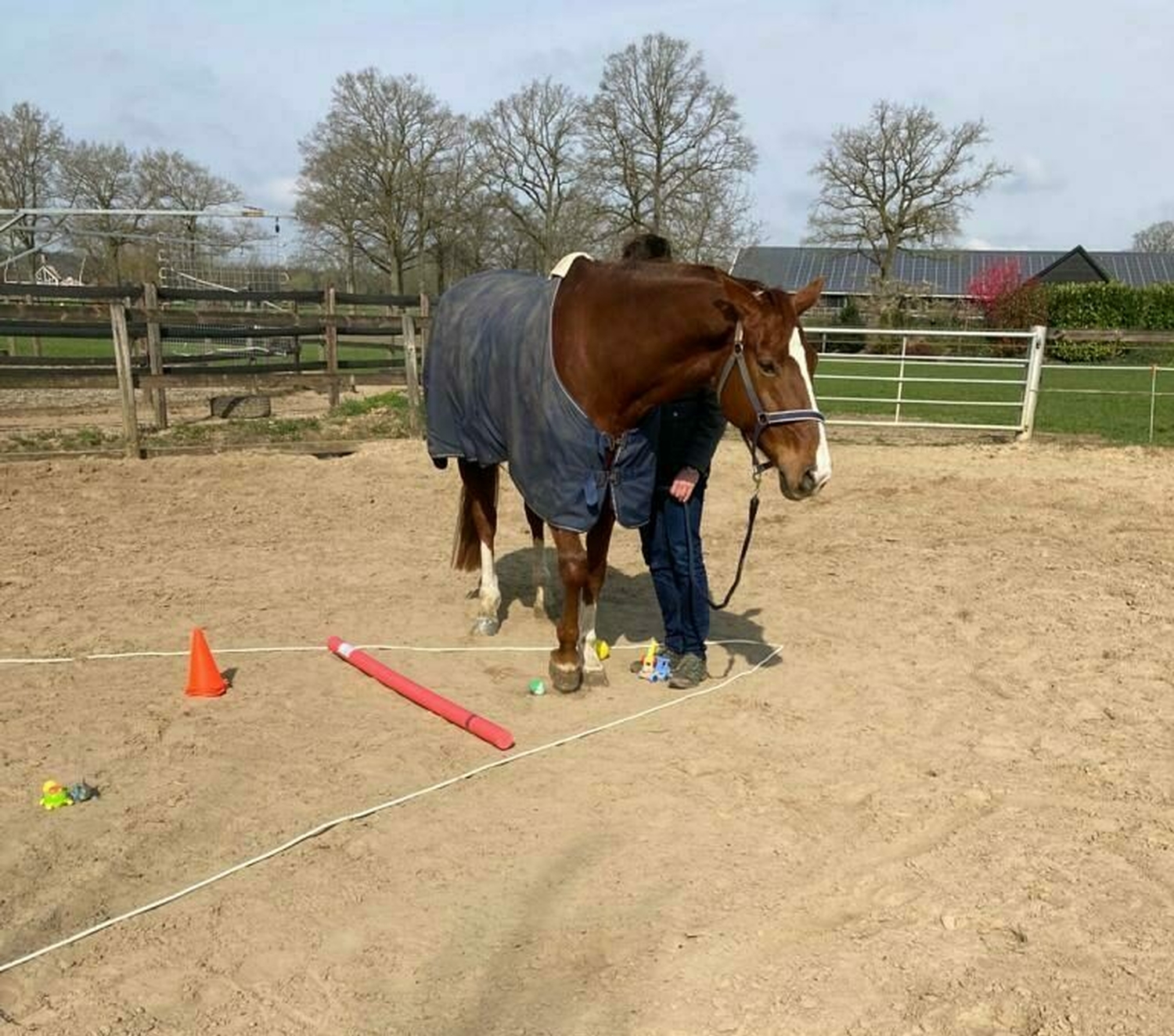 De ijsberg paardencoaching