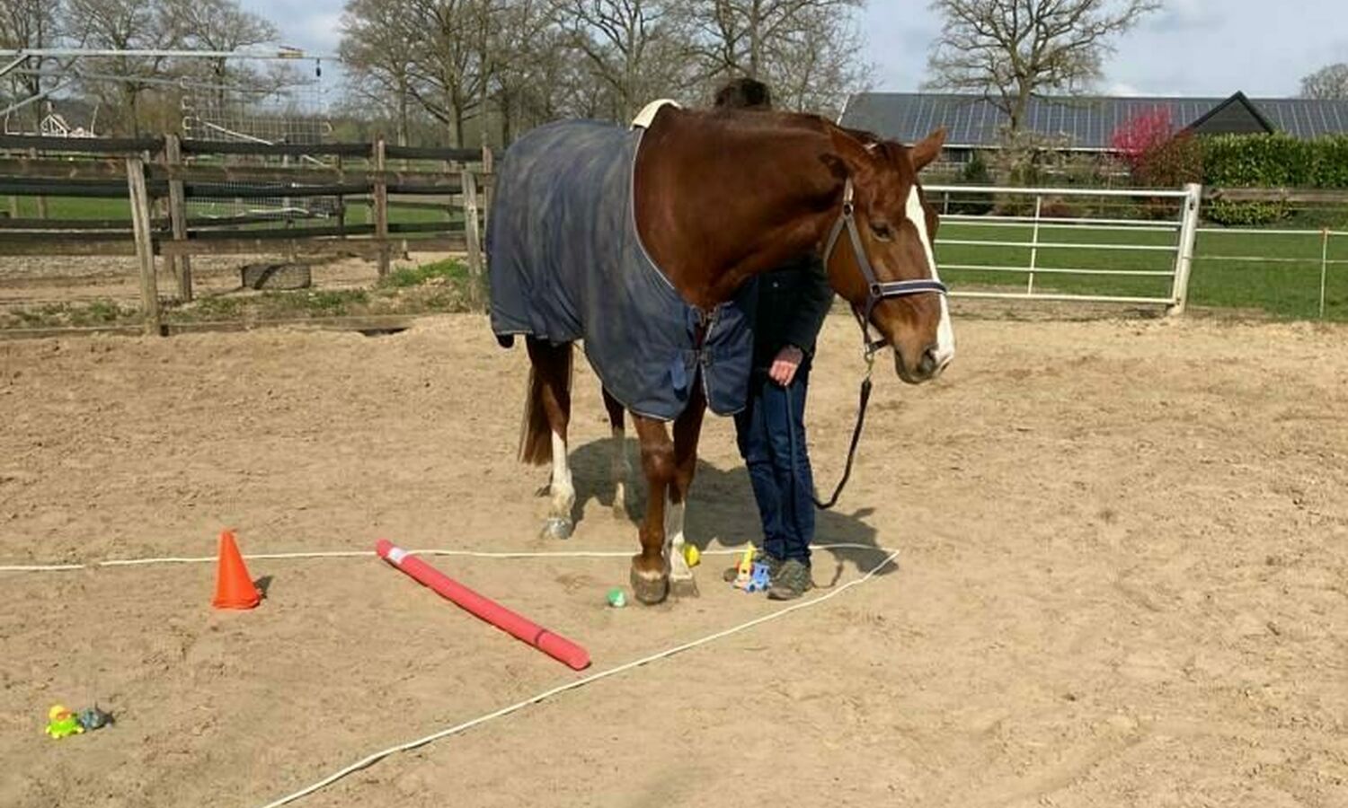 De ijsberg paardencoaching