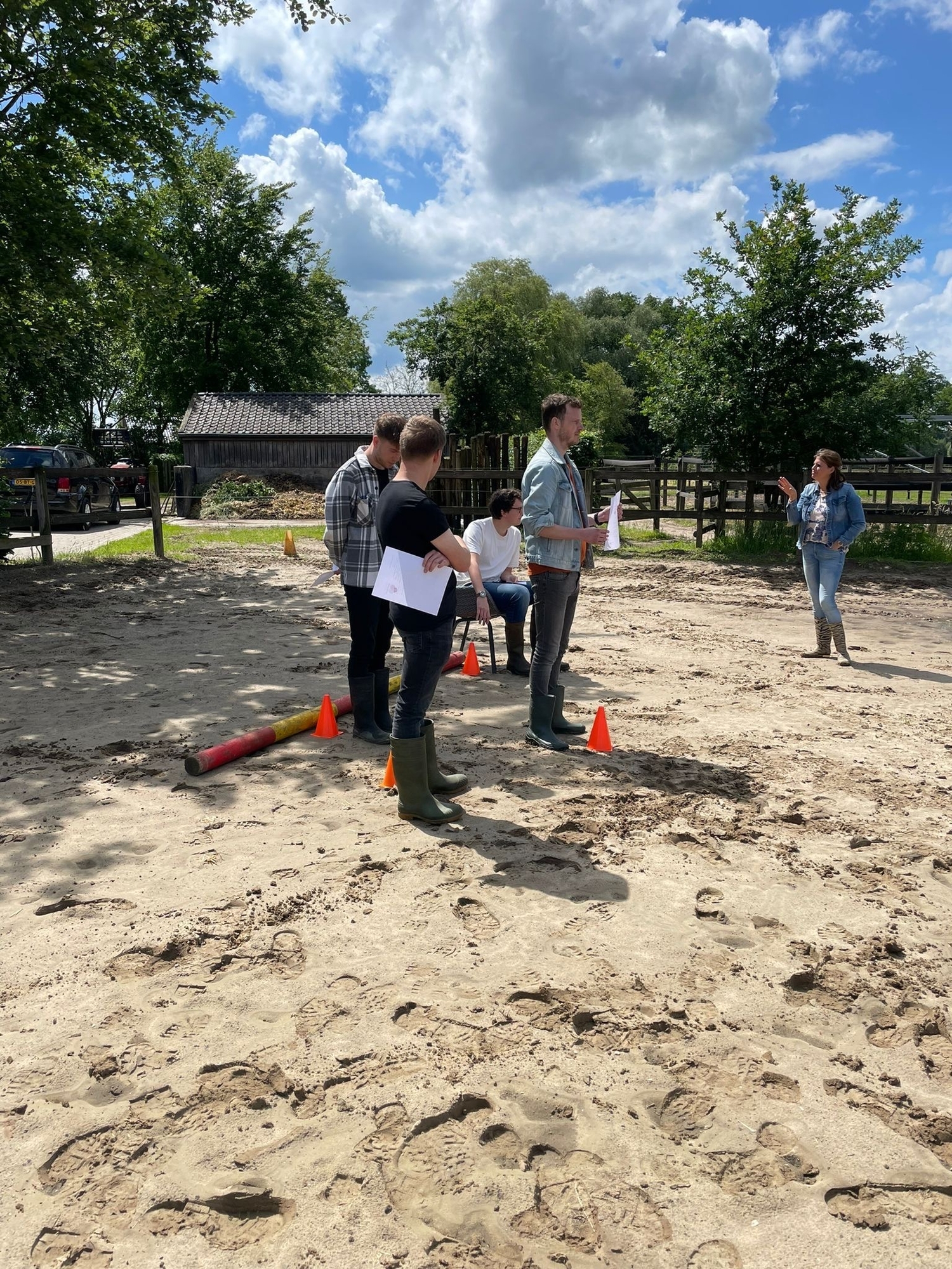 Teamopstelling en paard