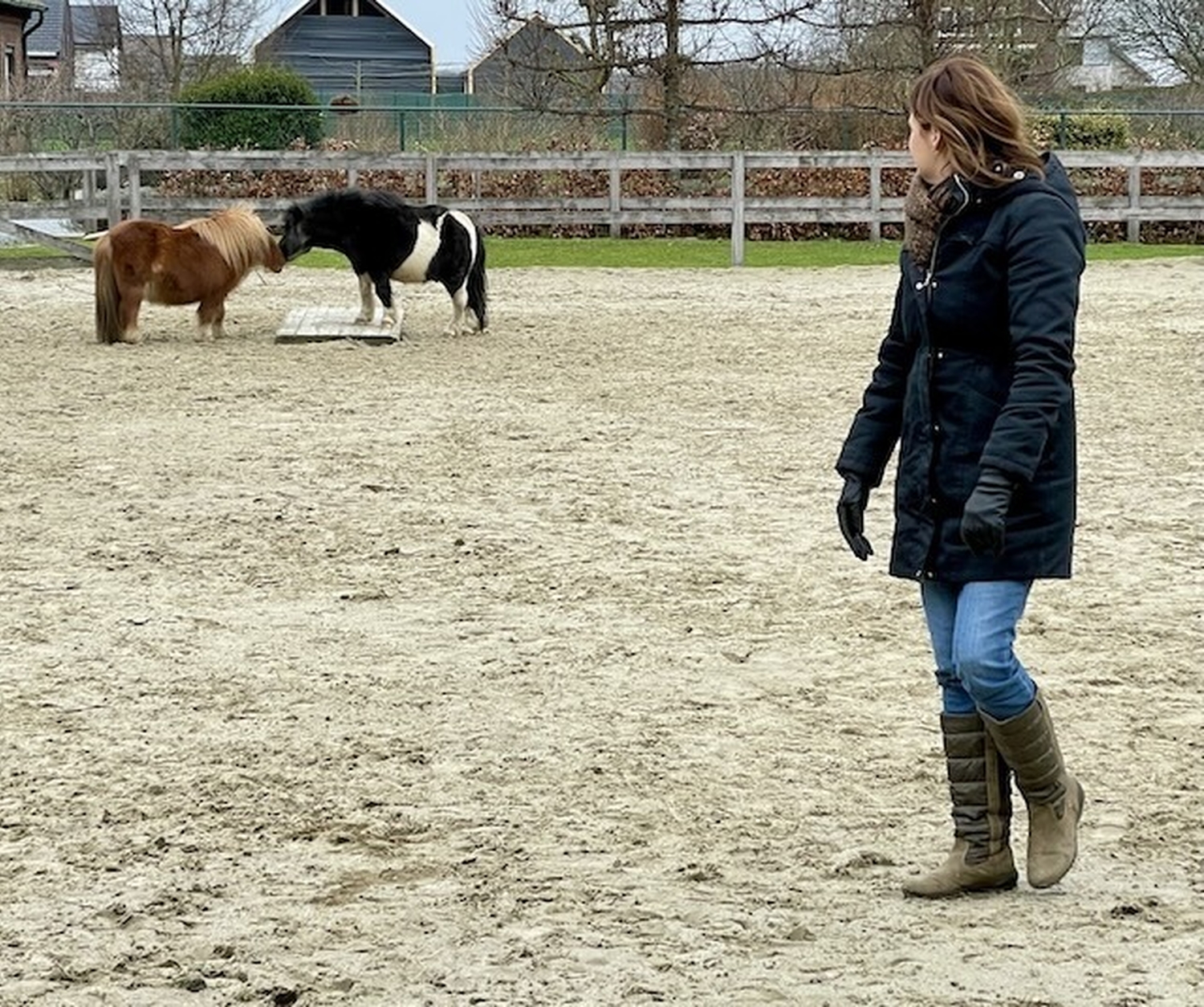 Paardencoaching Rian