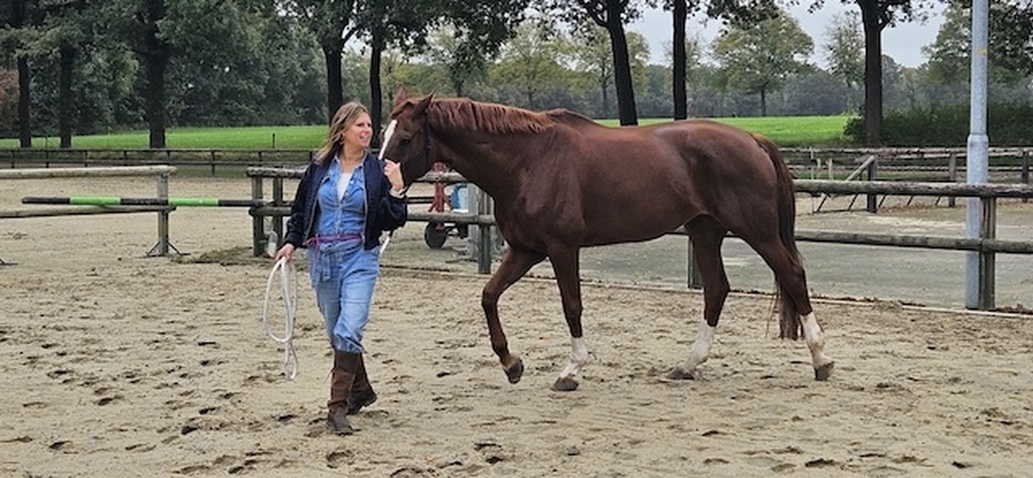Leiderschapsworkshop met het paard