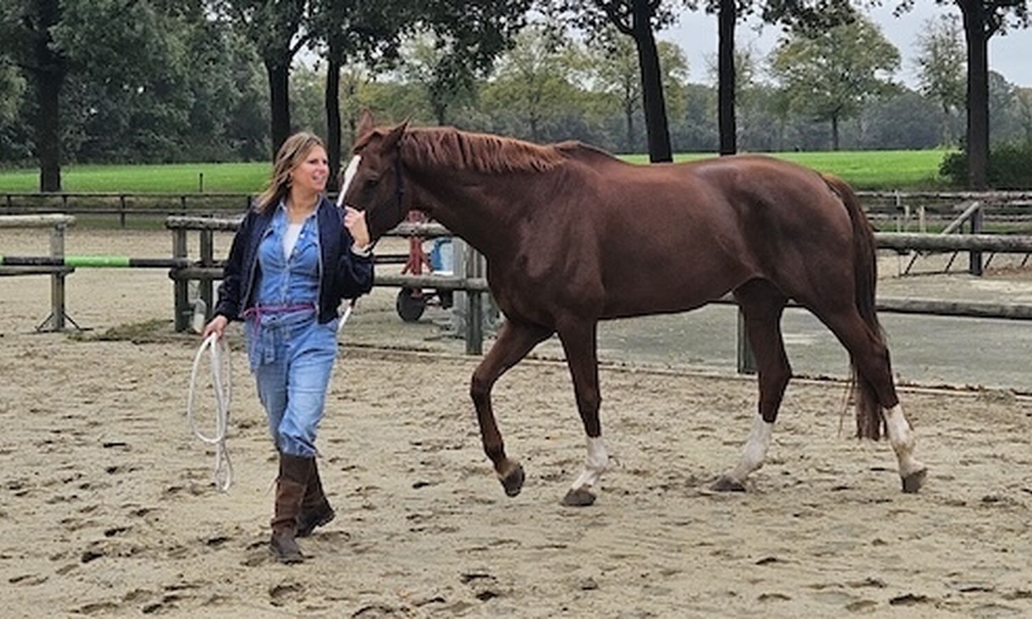 Leiderschapsworkshop met het paard