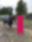 Paardencoaching Grateful Coaching 1