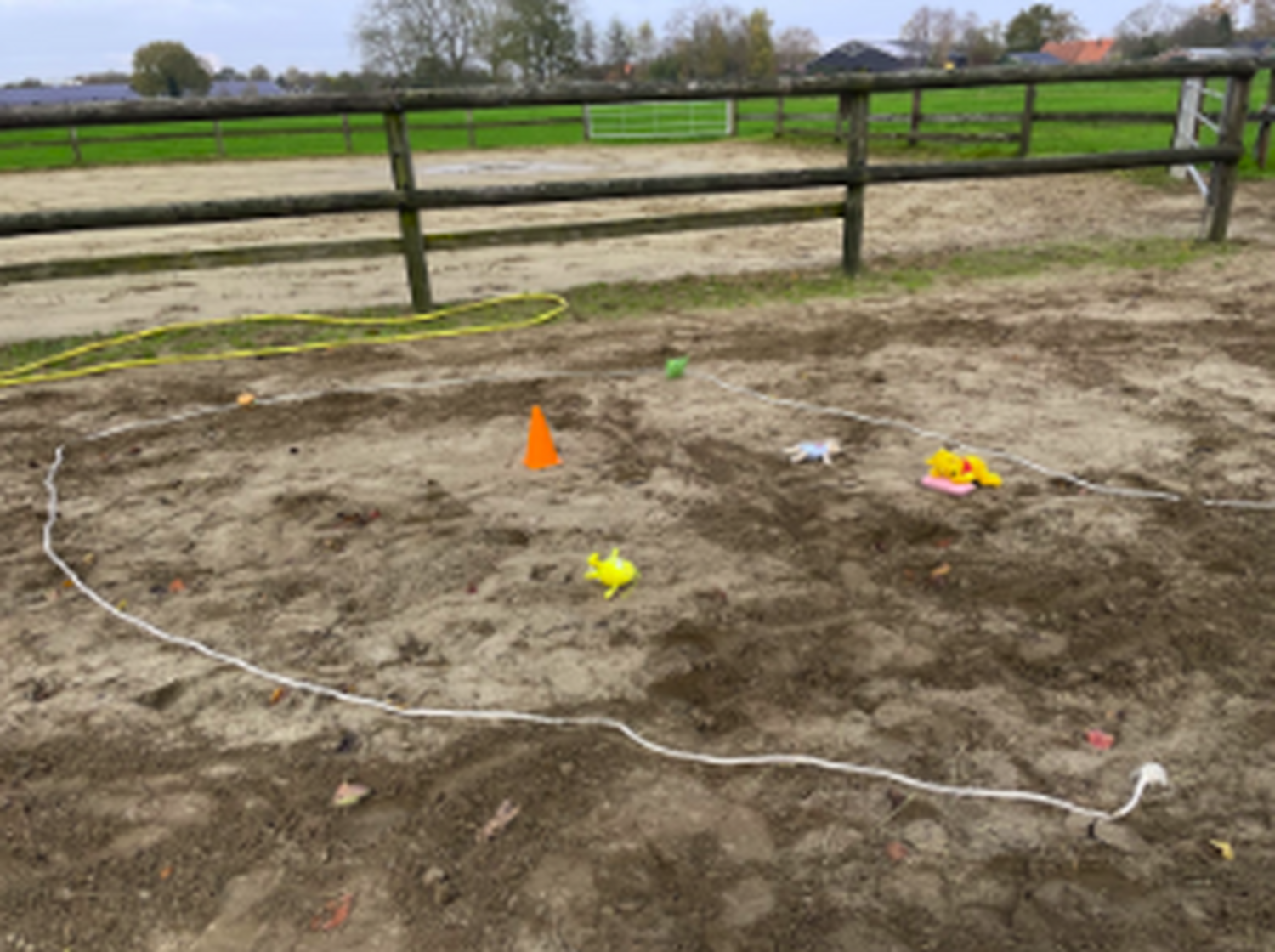 Paardencoaching Grateful Coaching 3