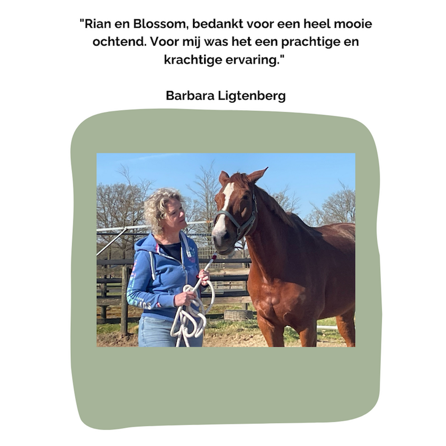 Review Barbara