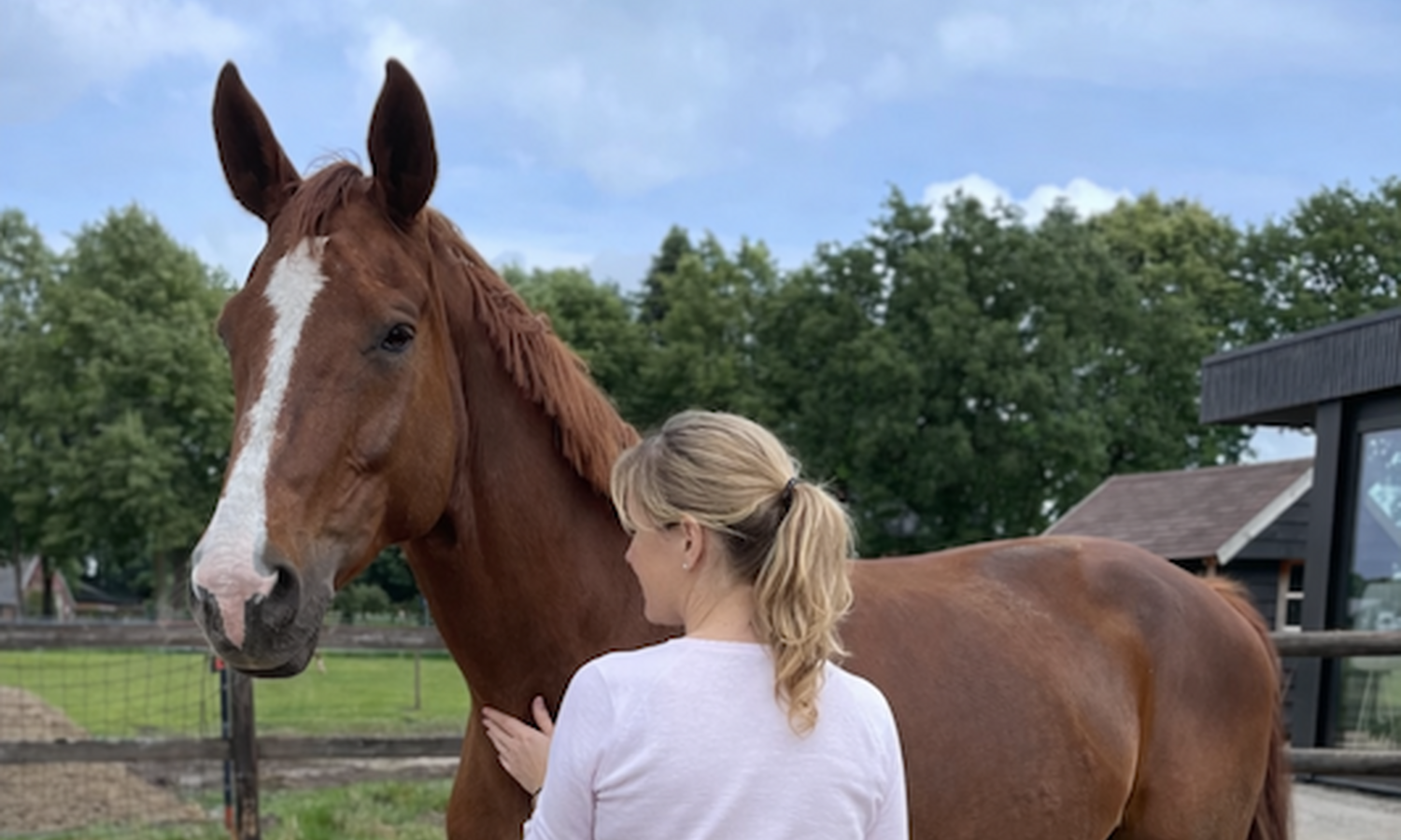 Over het ongemak van rust