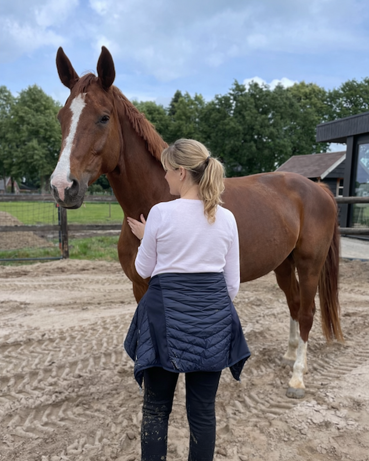 Over het ongemak van rust