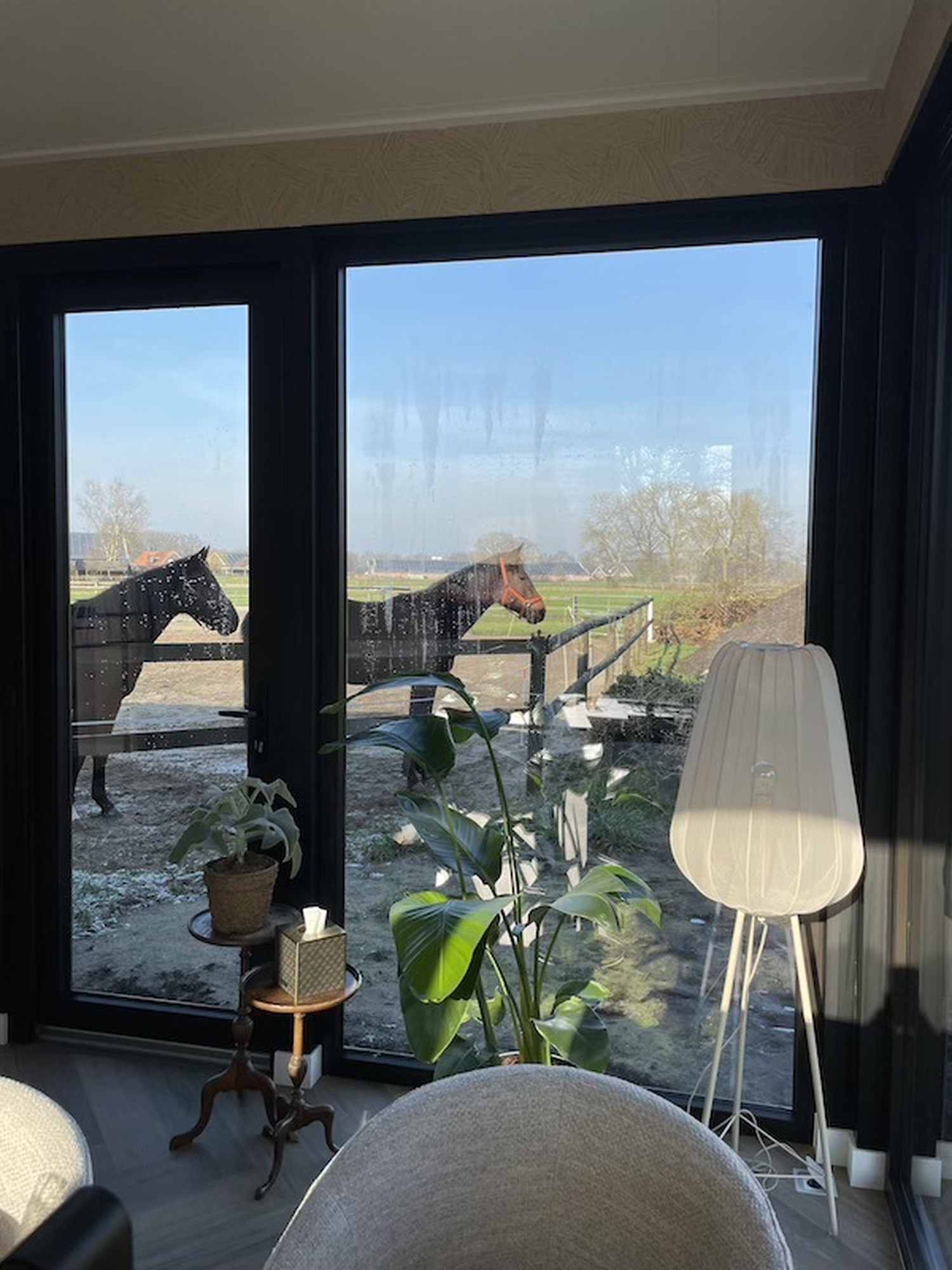 Uitzicht vanuit kantoor
